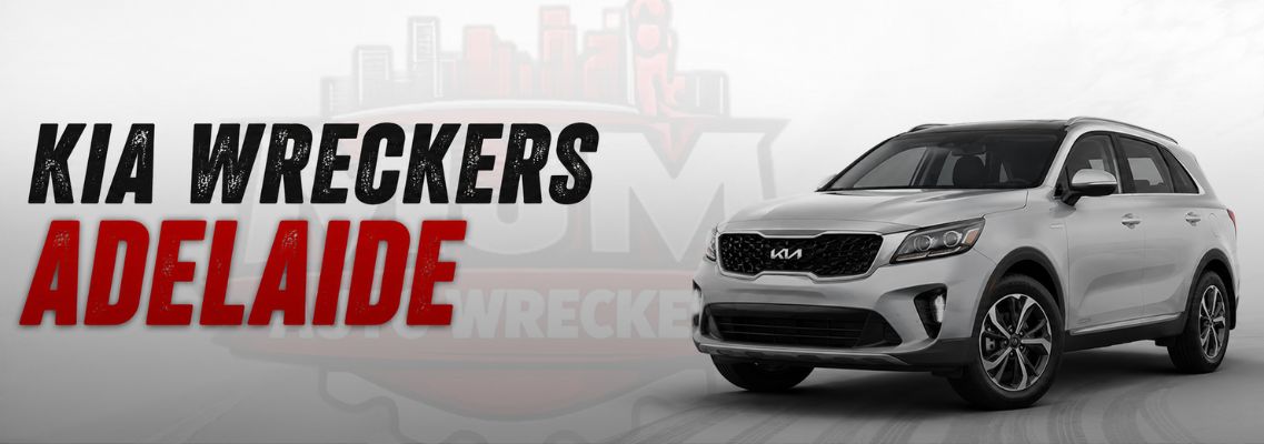 Kia Wreckers Adelaide 1.jpg